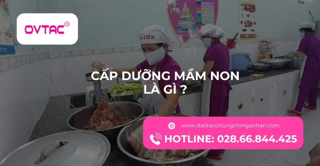 Cấp Dưỡng Mầm Non Là Gì