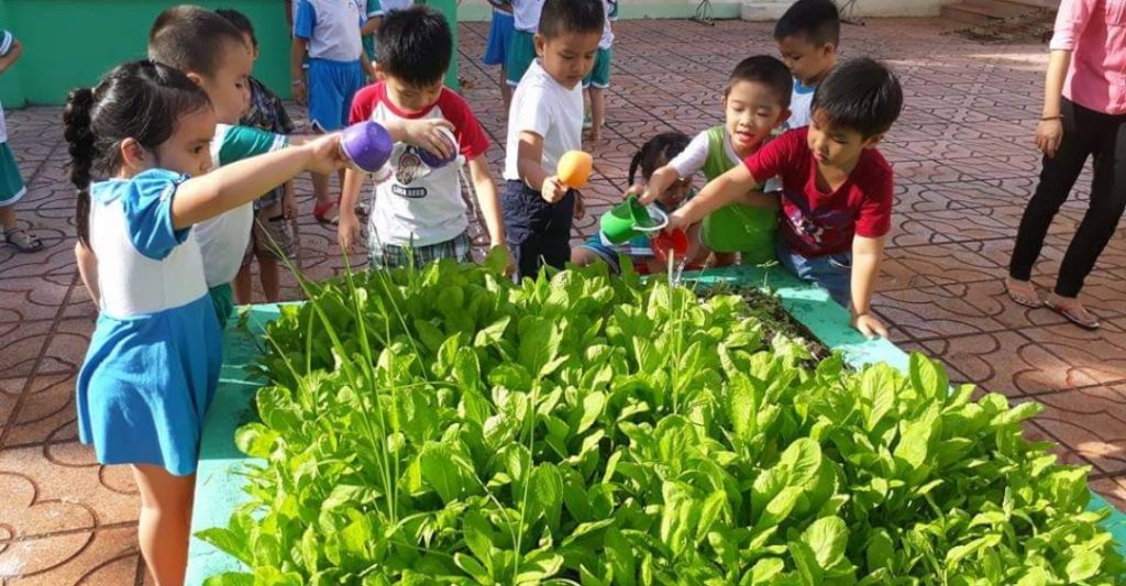 Tại Sao Nên Làm Các Thí Nghiệm Về Thực Vật Cho Trẻ Mầm Non